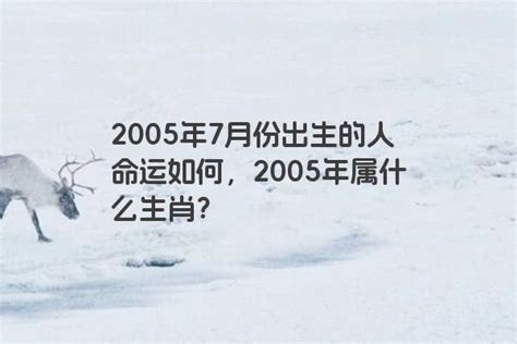 2006出生|2006年阳历农历出生的人命运